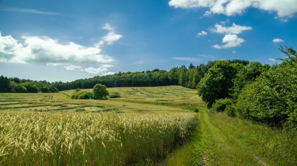 Bjergsted Bakker